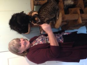 Kitty Angels Cat Sitting Service Telford - Carol