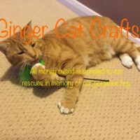 Ginger Cat Craft