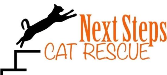 Next Steps Cat Rescue